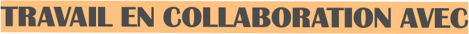 TRAVAIL EN COLLABORATION AVEC