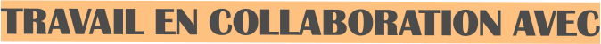 TRAVAIL EN COLLABORATION AVEC